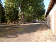 SAM_0696