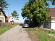 SAM_1923