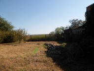 SAM_1932