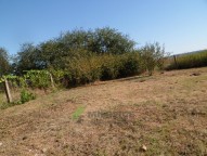 SAM_1931