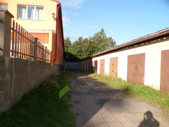 SAM_1951