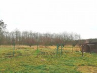 82507735_2515400535400042_6974940650055663616_n