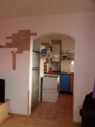 SAM_3858