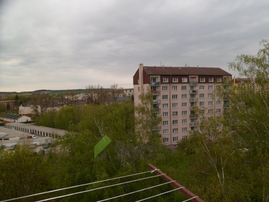 SAM_3977