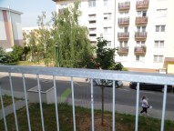 SAM_4149