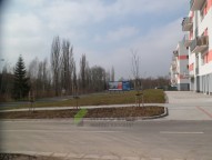 SAM_7533