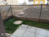 IMG_20250402_174700