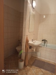 IMG_20250416_160441