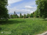 IMG_20250505_131847
