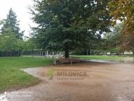 IMG_20250914_161211