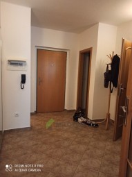 IMG_20250914_150447