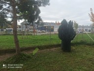 IMG_20251015_104139