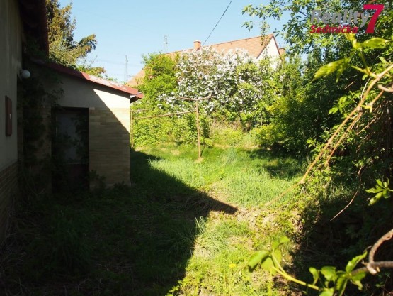 P1015919