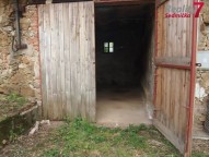 P1015935