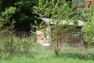 23_Chata_Porici_Robertto