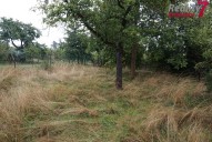 DSC00919