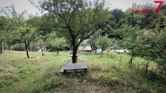 P1050550