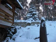 IMG_2566-zima2010-slunecnik