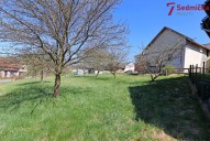 IMG_0236