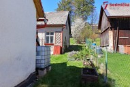 IMG_0241