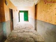 IMG_20250312_140819