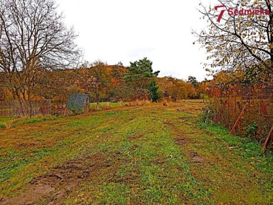 WhatsApp Image 2025-10-28 at 15.39.17 (2)