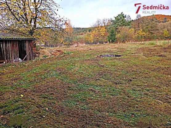 WhatsApp Image 2025-10-28 at 15.39.17 (1)