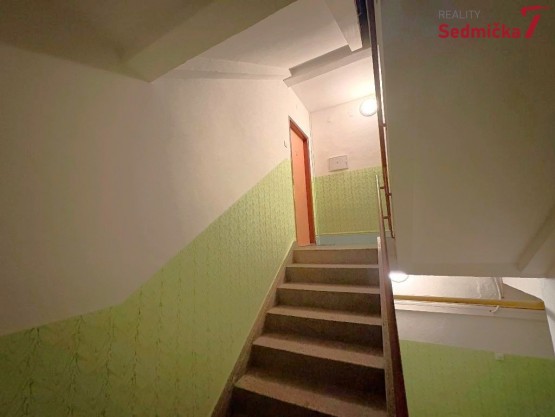 WhatsApp Image 2026-02-02 at 19.51.46 (1)