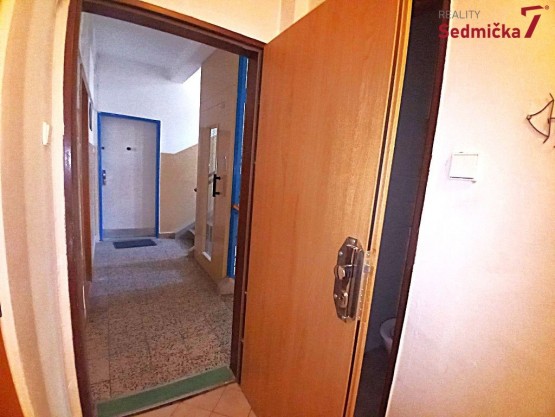 WhatsApp Image 2026-02-26 at 13.46.15 (8)