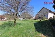IMG_0236