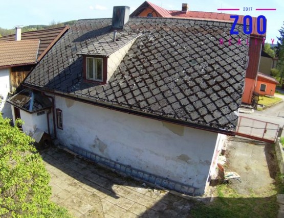 img00443.jpg