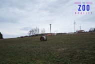 prodej-pozemku-2-366-m2-jivno-ceske-budejovice-3-1-z-1-fe1620.jpg