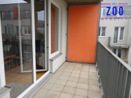 dsc09544.jpg