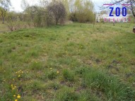 prodej-pozemky-zahrady-0m2-moravany-turov-dscn2754-46d394.jpg