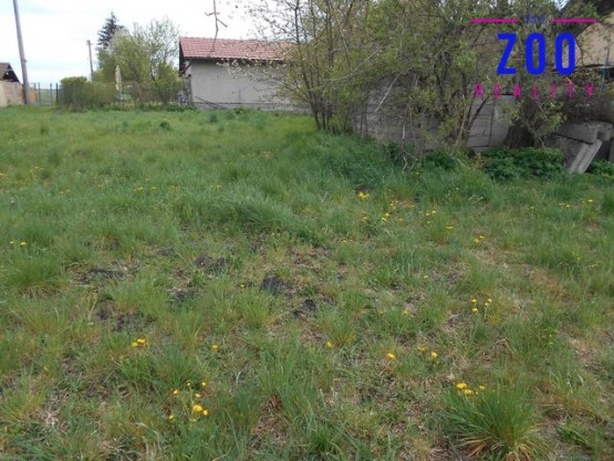 prodej-pozemky-zahrady-0m2-moravany-turov-dscn2759-98b19b.jpg