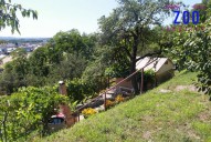 img-3520.jpg