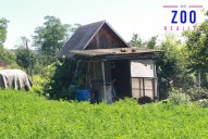 img-3553.jpg