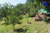 img-3528.jpg