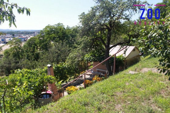 img-3520.jpg