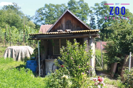 img-3554.jpg
