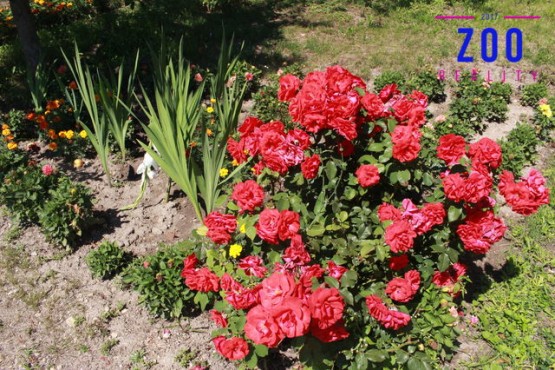 img-3560.jpg