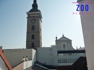 p1160236.jpg