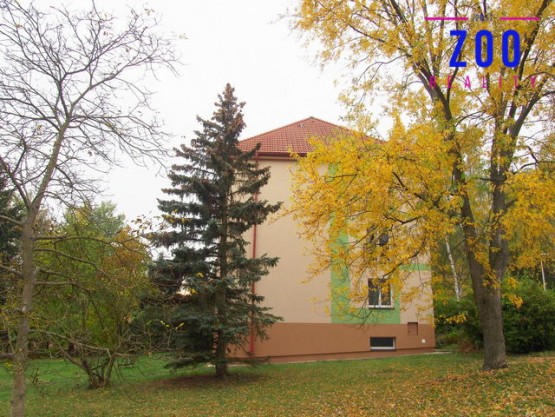 p1011280.jpg