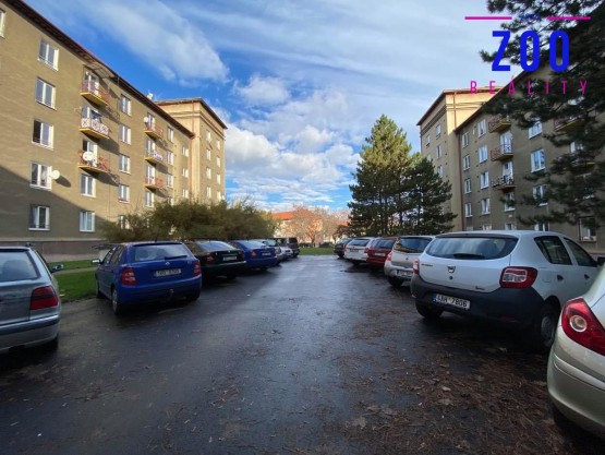 127278935-193895162313718-931321303411764620-n.jpg