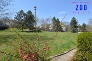 dsc-0002.jpg
