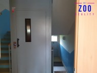 105022207-3497846323577783-6390113581226894641-n.jpg