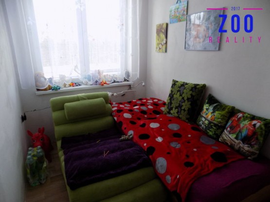 dscn6707.jpg