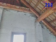 20210526-191332.jpg