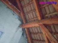 20210526-191328.jpg