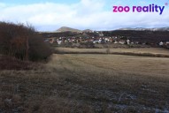 img-2728.jpg